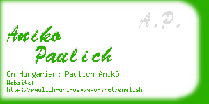 aniko paulich business card